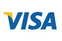 The image is a logo for Visa, featuring the company s name and iconic globe design.